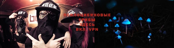 ПСИЛОЦИБИНОВЫЕ ГРИБЫ Корсаков