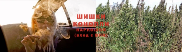 apvp Коряжма